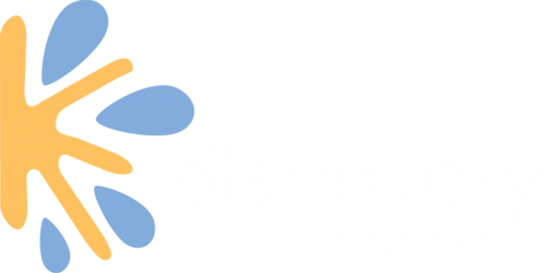 Discovery Summer Blogs